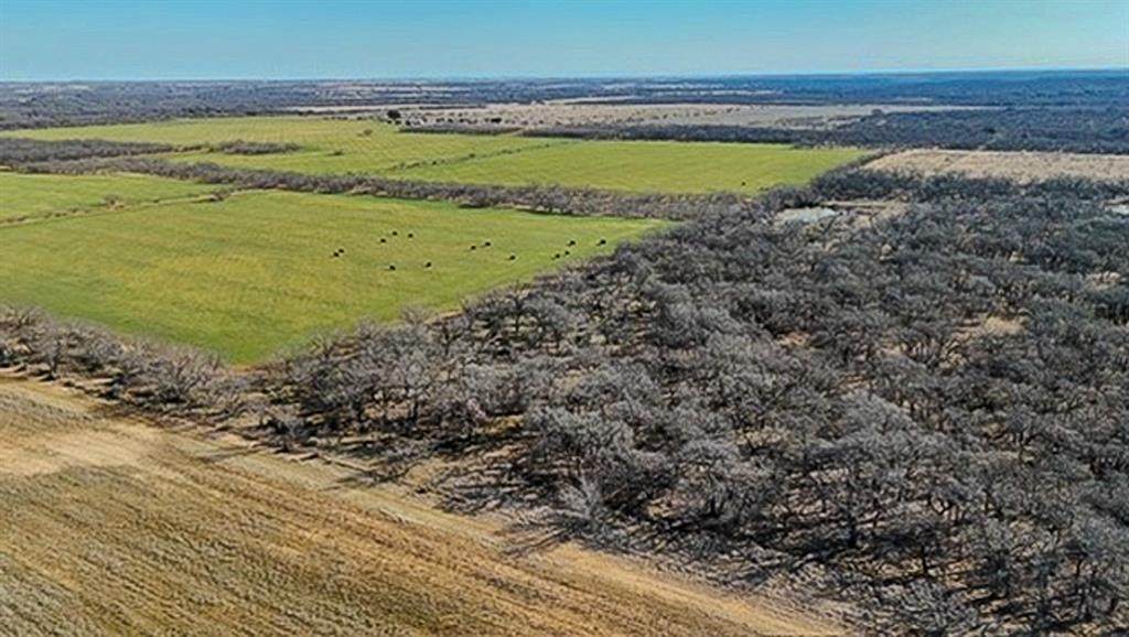 454 County Road 196 - Photo 1