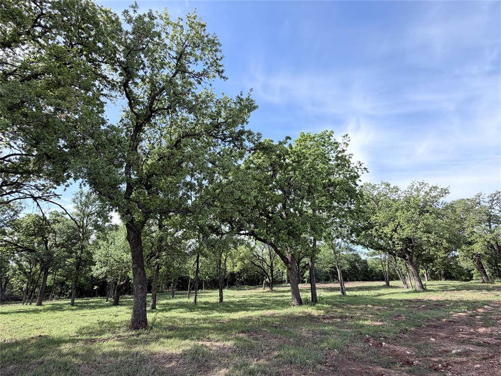 Lot 11 Lakewood Drive - Photo 1