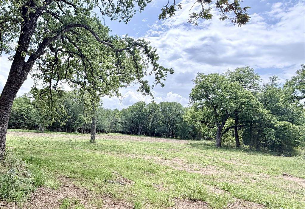 Lot 12 Lakewood Drive - Photo 1