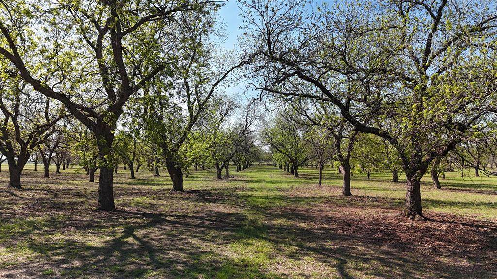 000 Pecan Lane - Photo 1