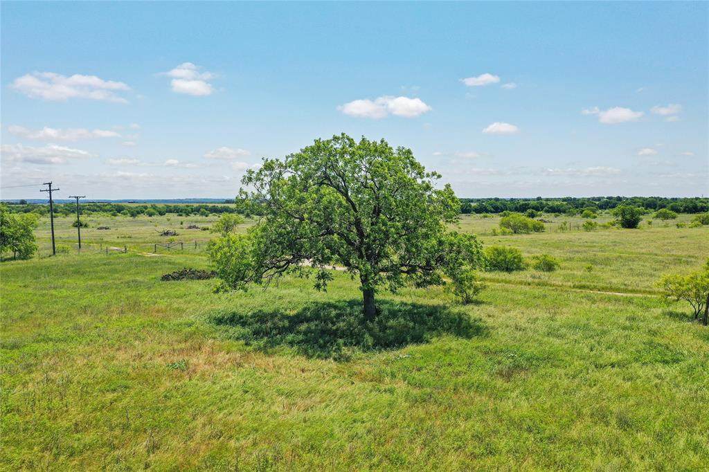 556 Acres 281 Highway - Photo 1