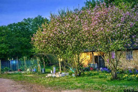 3640 Van Zandt County Road - Photo 1