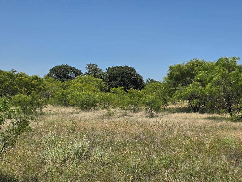 1000 County Road 375 - Photo 1
