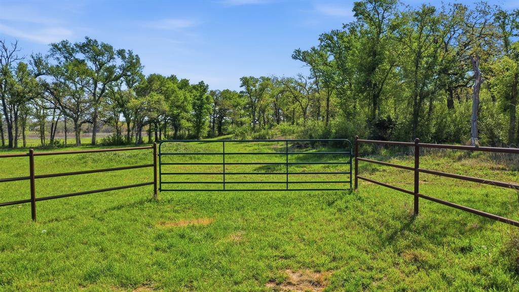 1005 Carter Lane - Photo 1