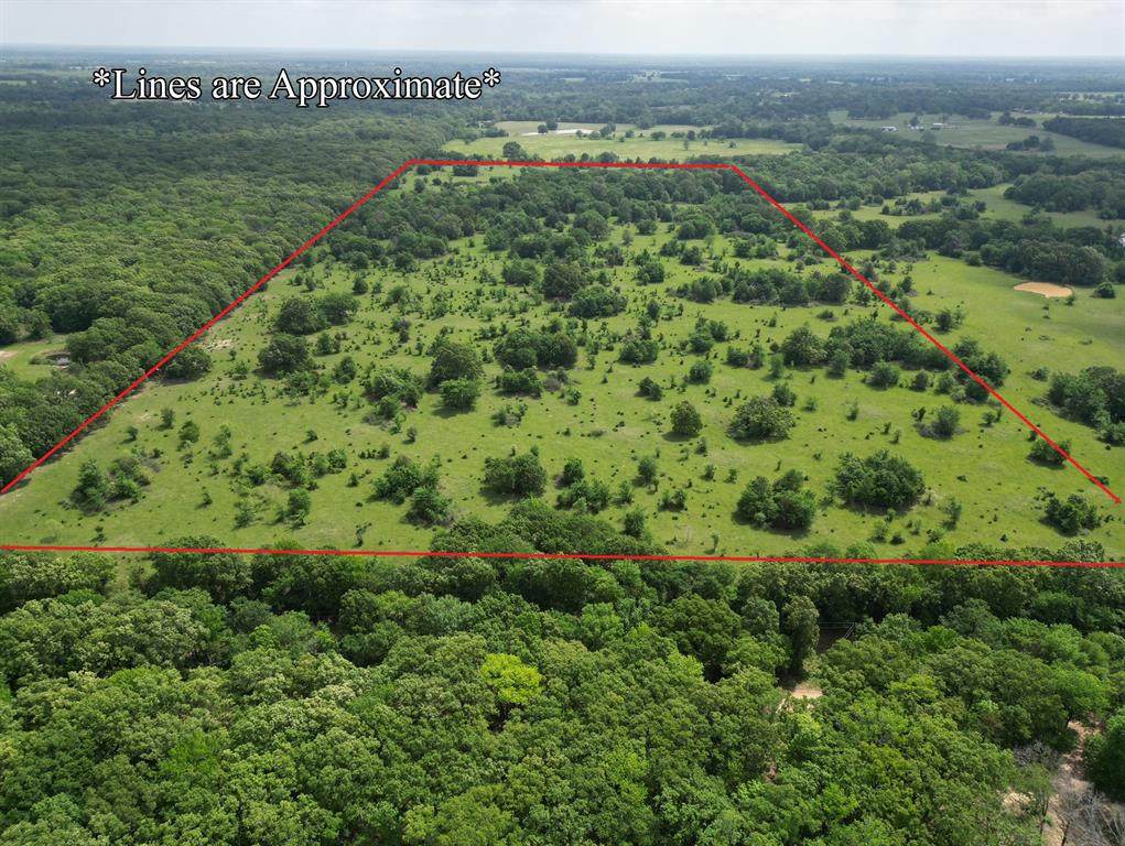 TBD County Road 2415 - Photo 1