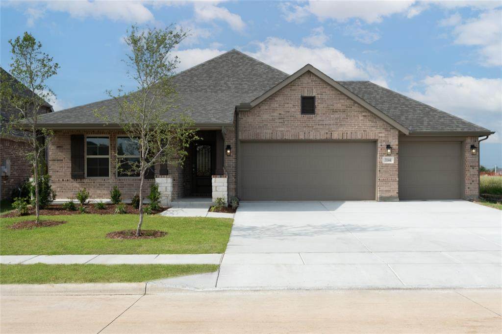 3144 Patrinia Street - Photo 1