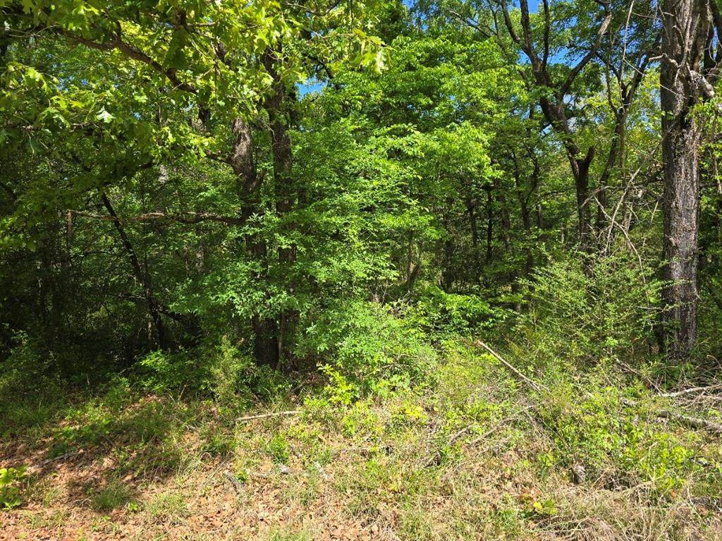 Lot 699 Shady Grove Road - Photo 1