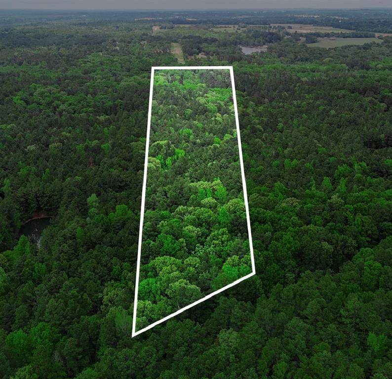 TBD 10 Acres Cr 1113 - Photo 1