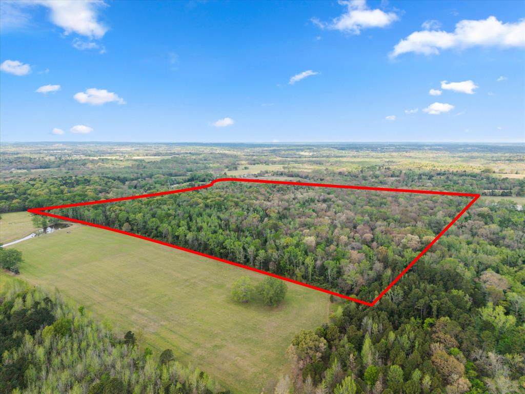 TBD Cr 4390 - Photo 1