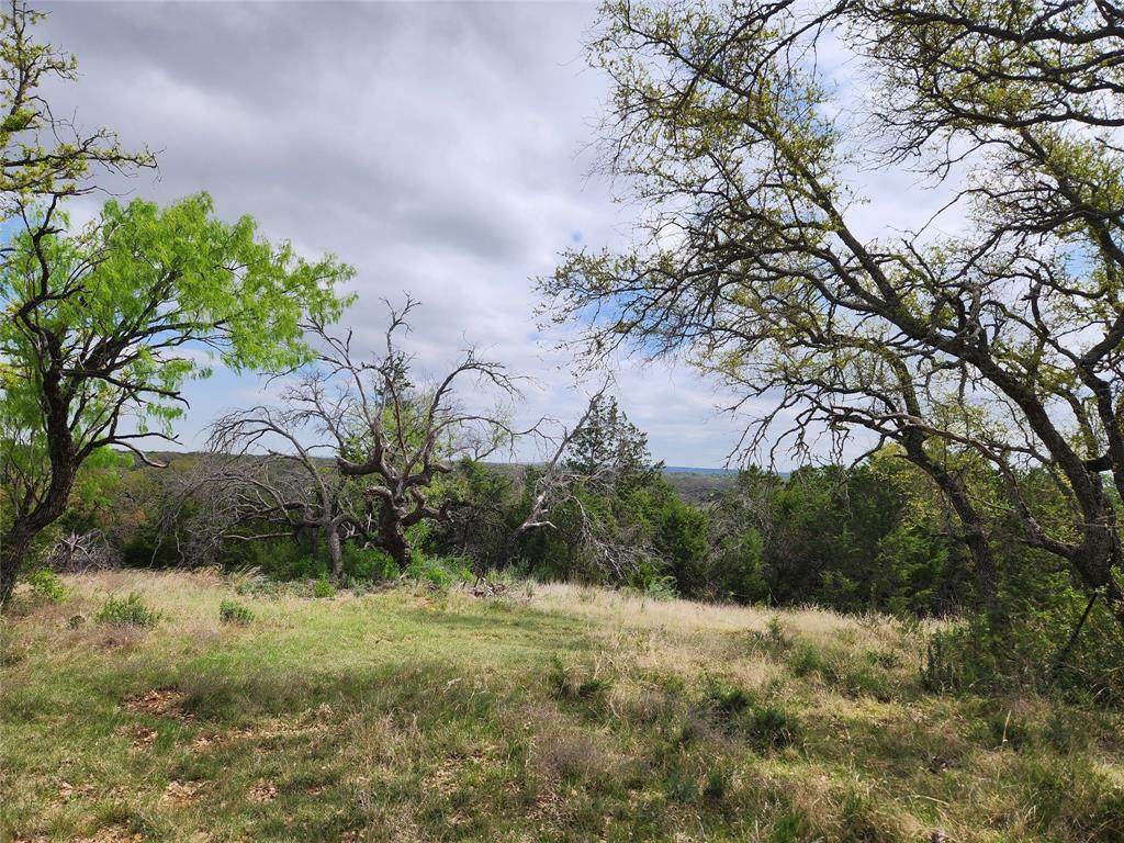 TBD County Road 402 - Photo 1