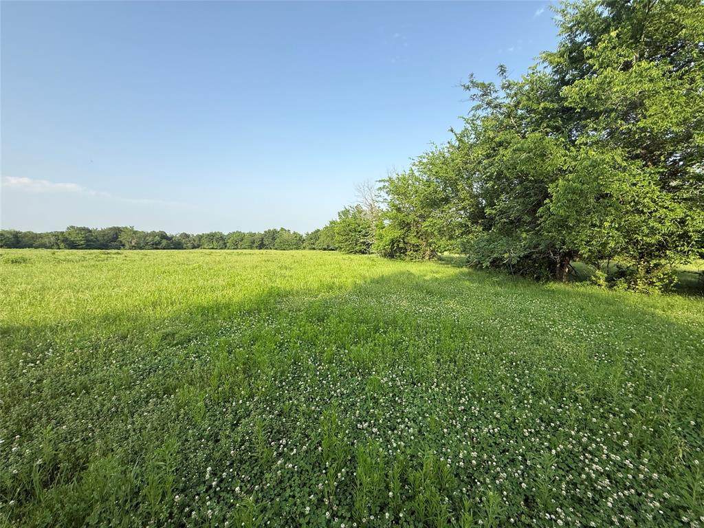 0000 TBD County Road 3528 - Photo 1