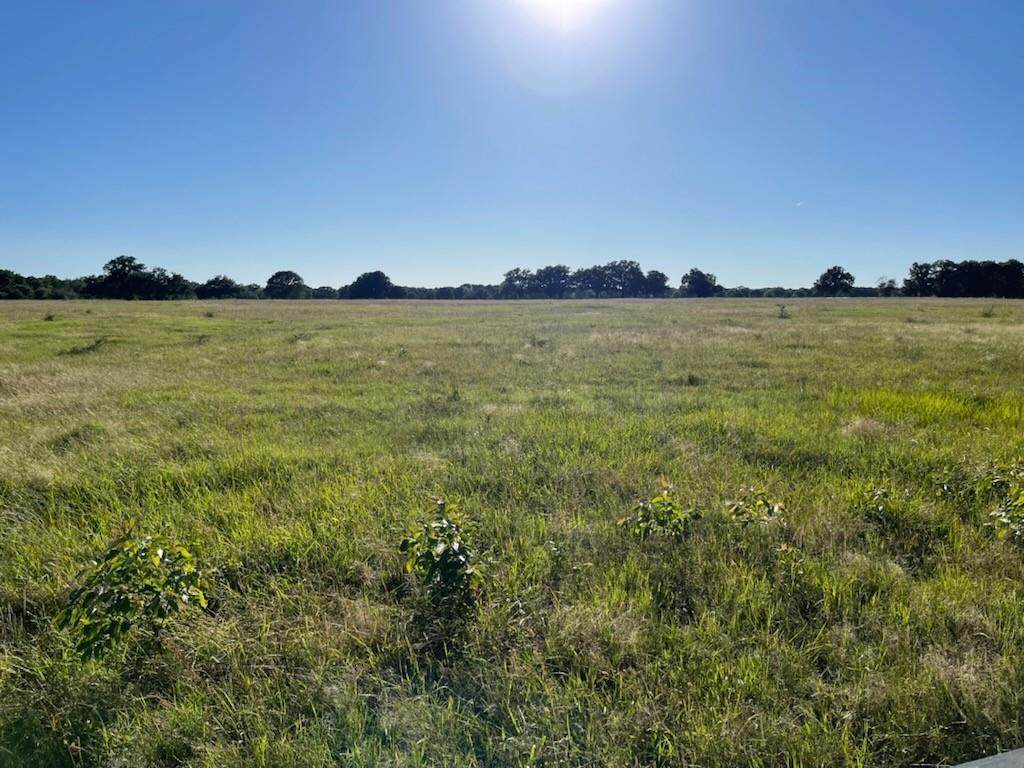 TBD County Road 3561 - Photo 1