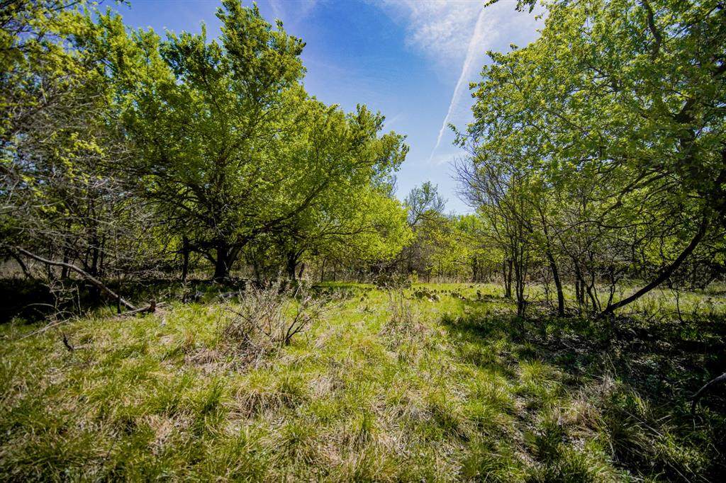 100 Acres Fm 2950 - Photo 1