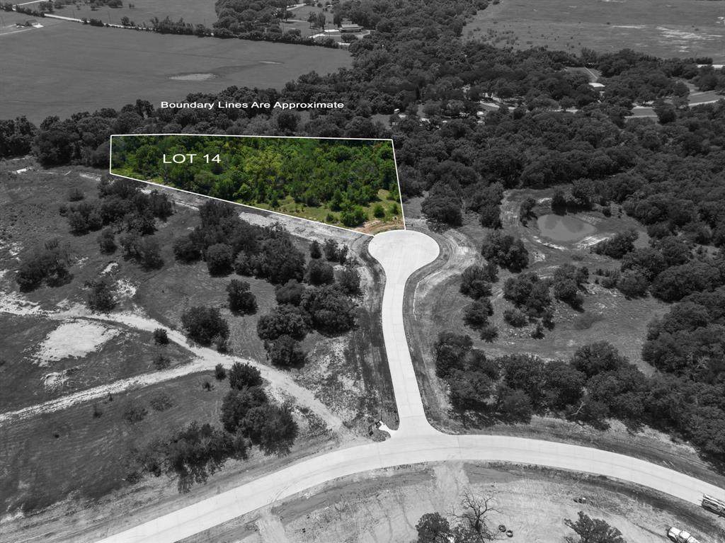8001 Alegre Court - Photo 1