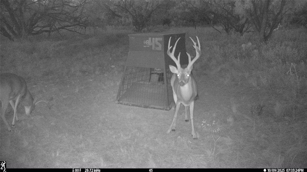 tbd Tbd Cntty Rd 291 - Photo 1