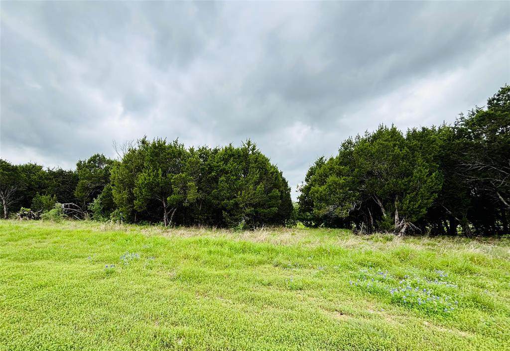 8504 Dornoch Street - Photo 1