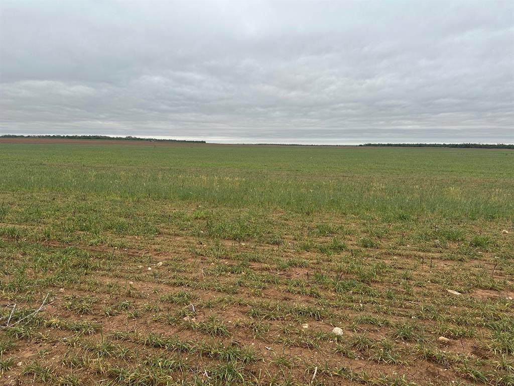 TBD Fm 1812 ( Tract 1 ) - Photo 1