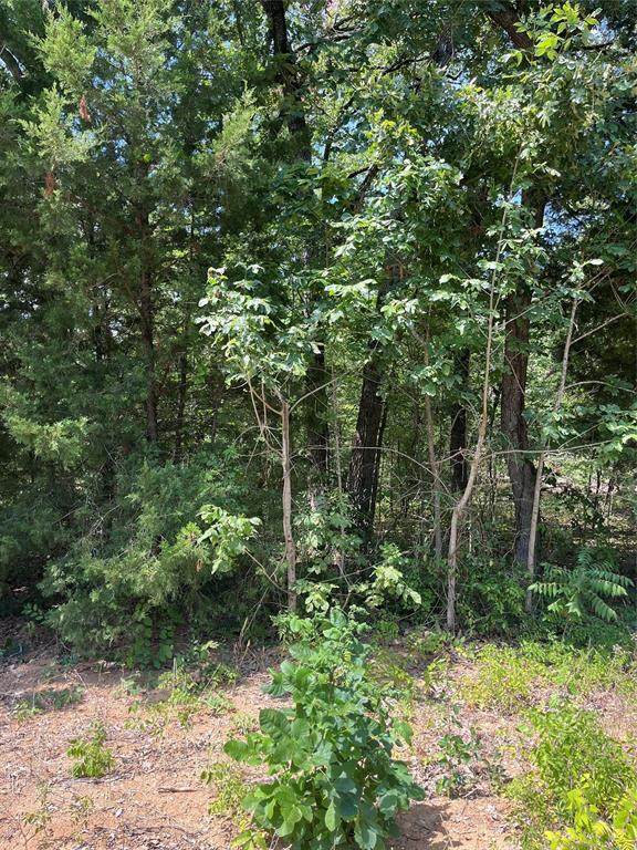 106 Red Bluff Loop - Photo 1