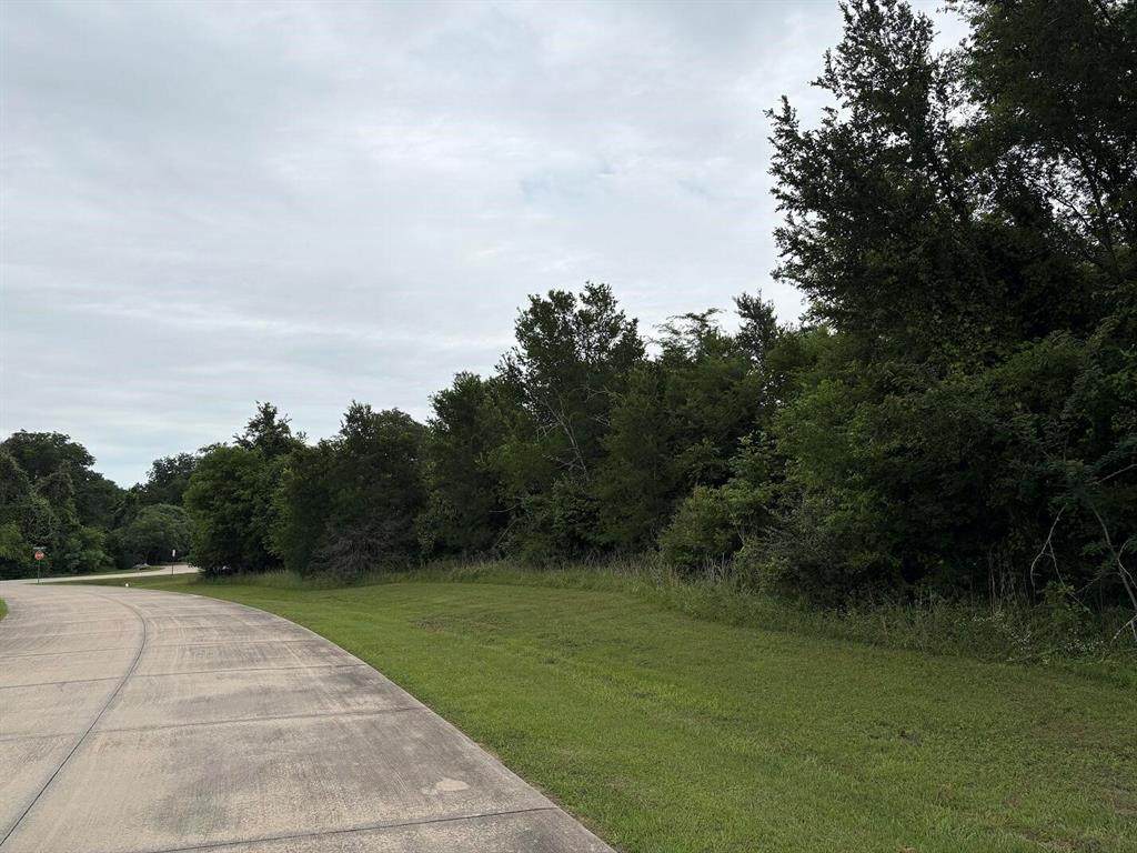 1757 Canyon Lake Road - Photo 1