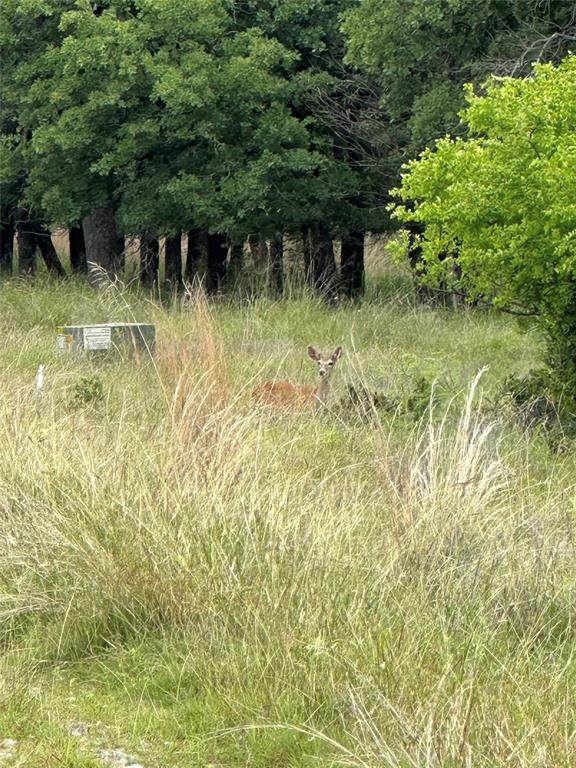 Lot 237 Vista Pointe Drive - Photo 1