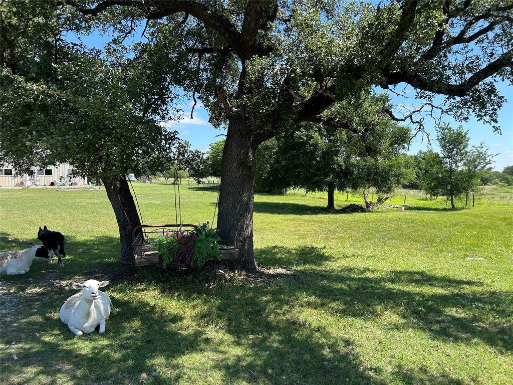https://bt-photos.global.ssl.fastly.net/ntreis/orig_boomver_1_21276946-2.jpg