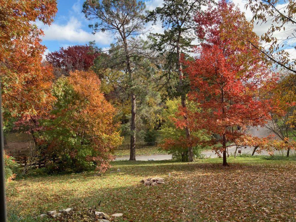 https://bt-photos.global.ssl.fastly.net/ntreis/orig_boomver_2_21356836-2.jpg