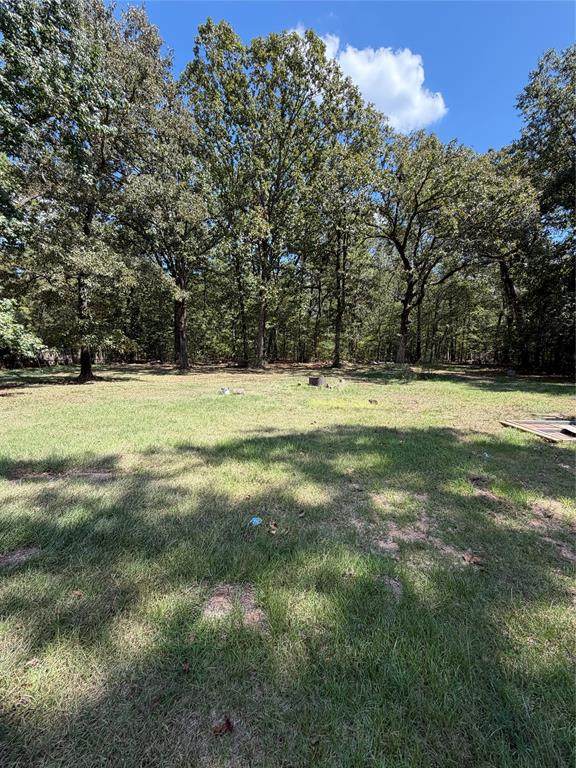 4055 Gallemore Lane - Photo 1
