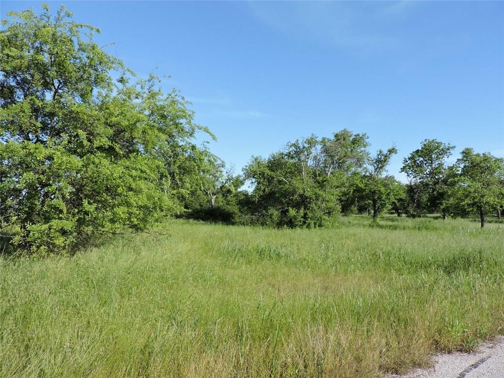 Lot 16 Lake House Drive - Photo 1