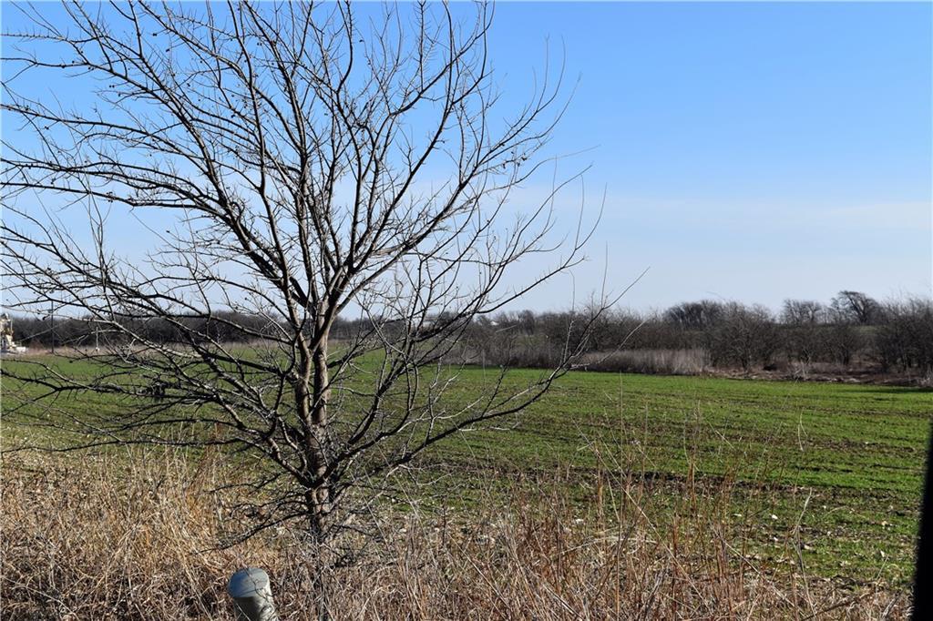 000 Hwy 289 N - Photo 1