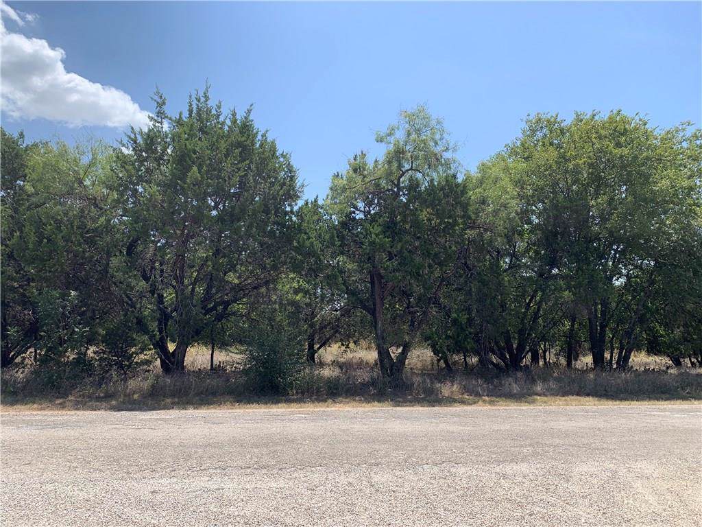 45002 Fringewood Drive - Photo 1