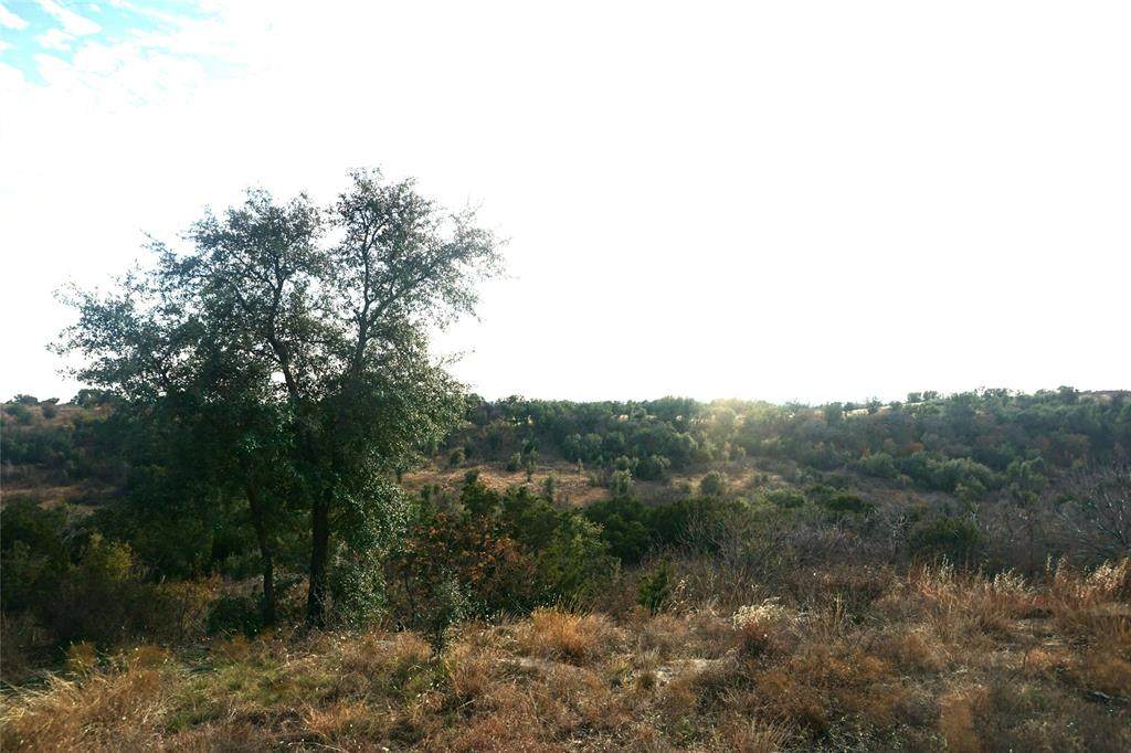 lt 594 Canyon Wren Loop - Photo 1