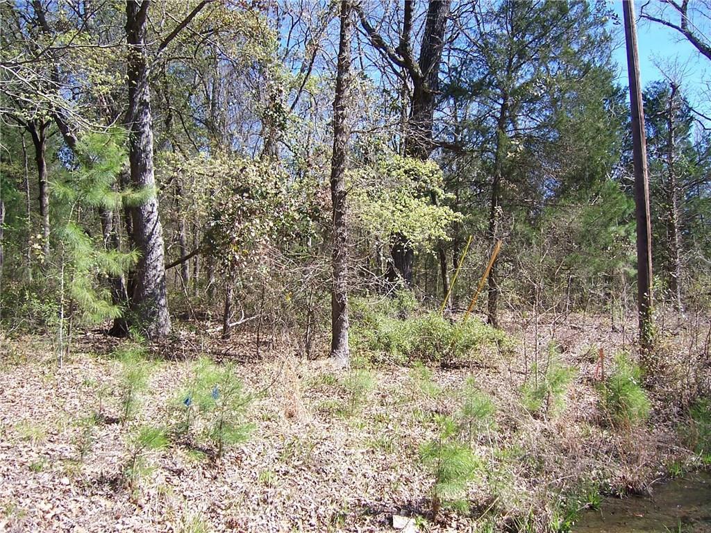 724 Elm Drive - Photo 1