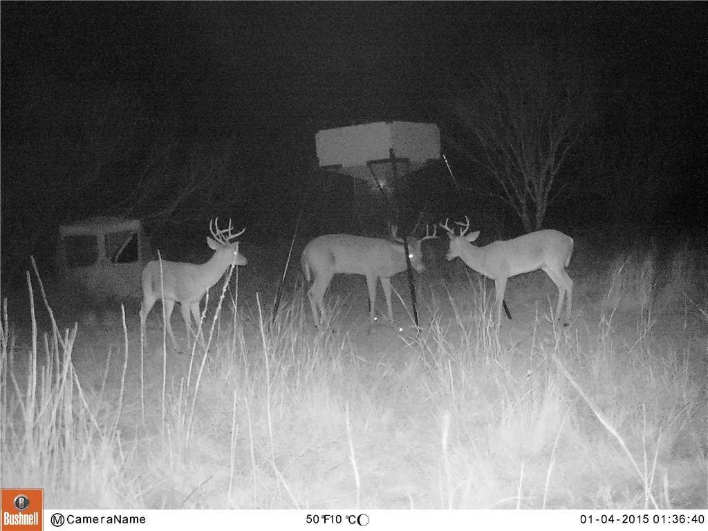 481 County Road 175 - Photo 1