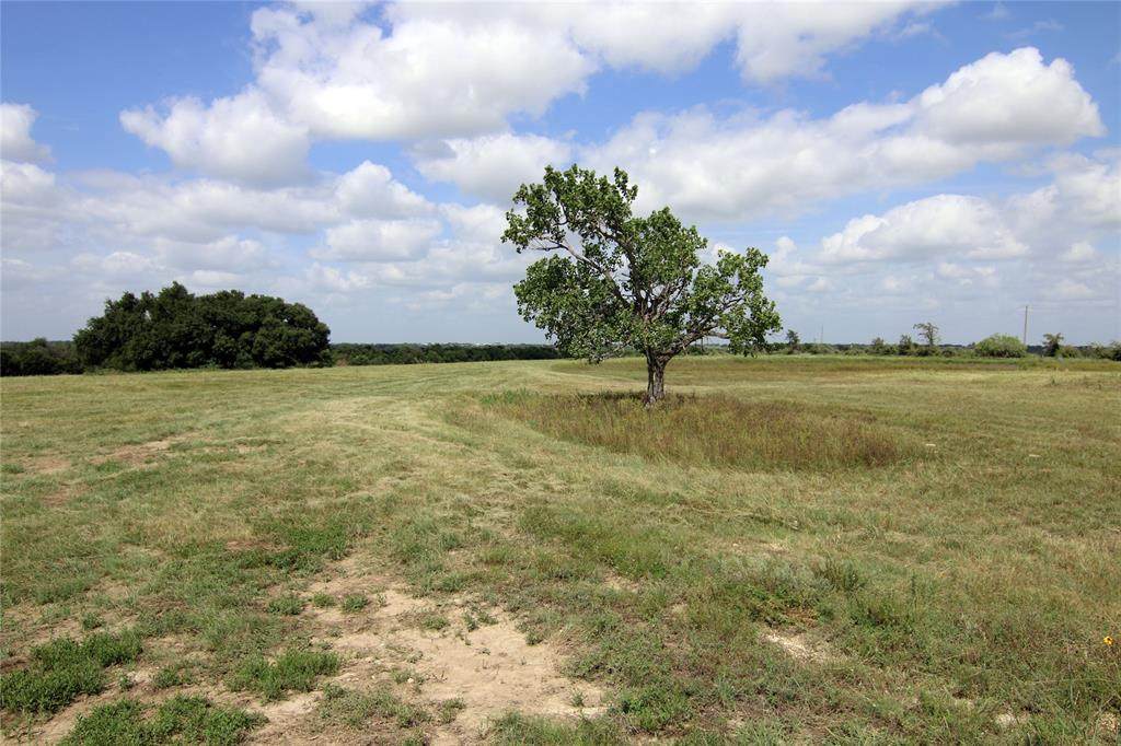 TBD C County Road 337 - Photo 1