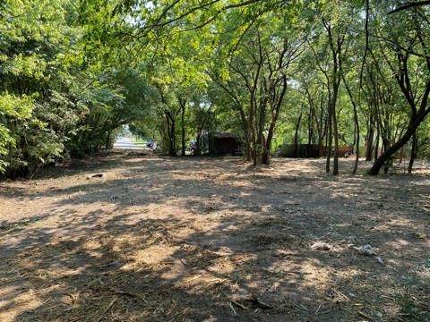 1404 Hurt Street - Photo 1