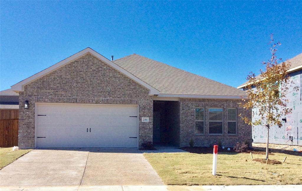 2301 Switchgrass Street - Photo 1