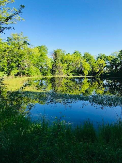 TBD Hcr 3369 / Private Road337 - Photo 1