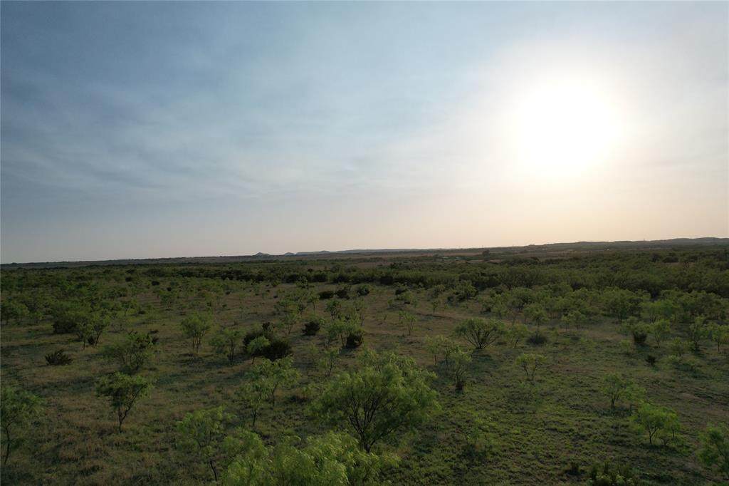 Tract 8 County Rd 212 - Photo 1
