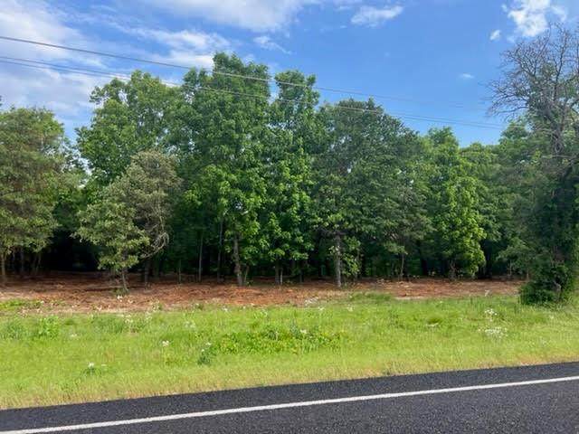 0 Hwy 59 - Photo 1