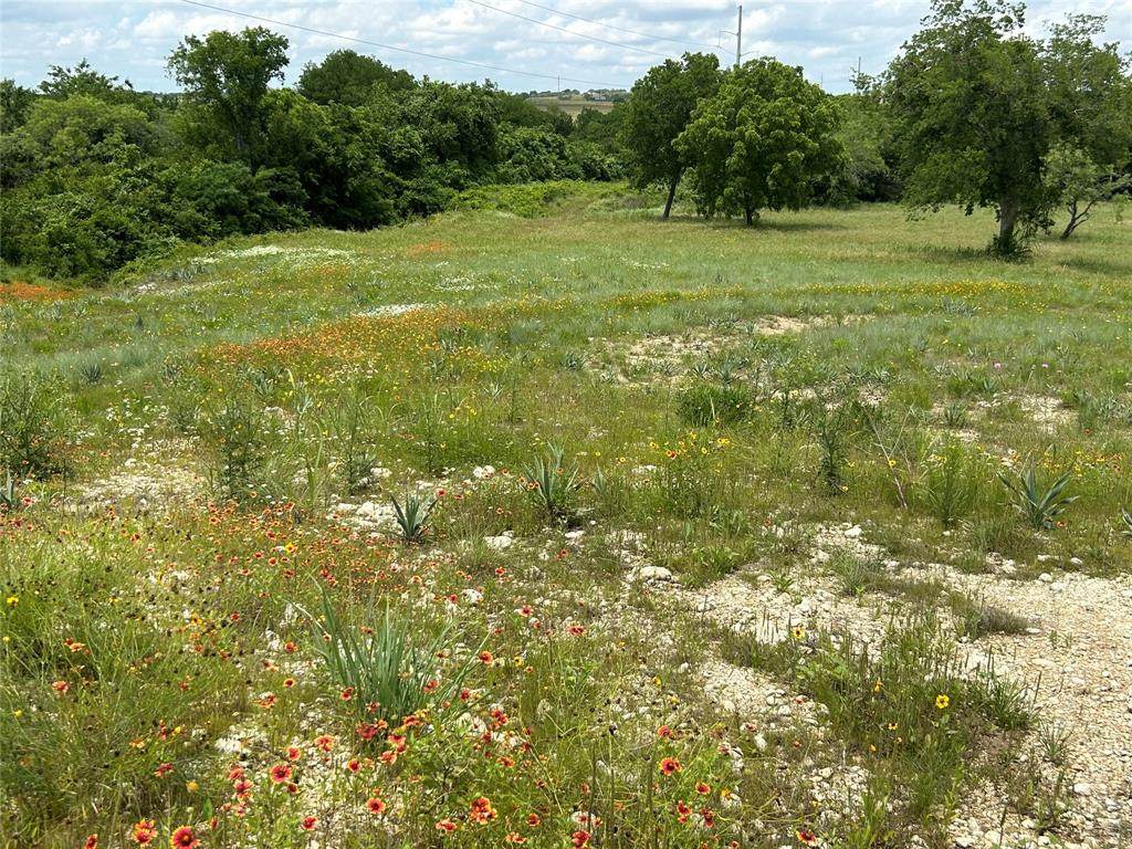 3078 Winding Creek Trail - Photo 1