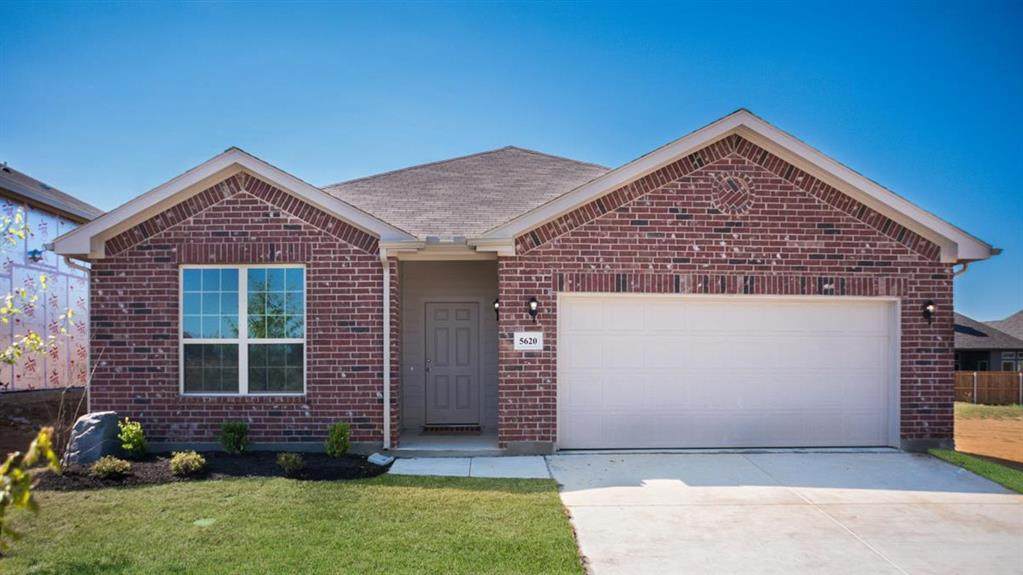 10924 Elata Drive - Photo 1