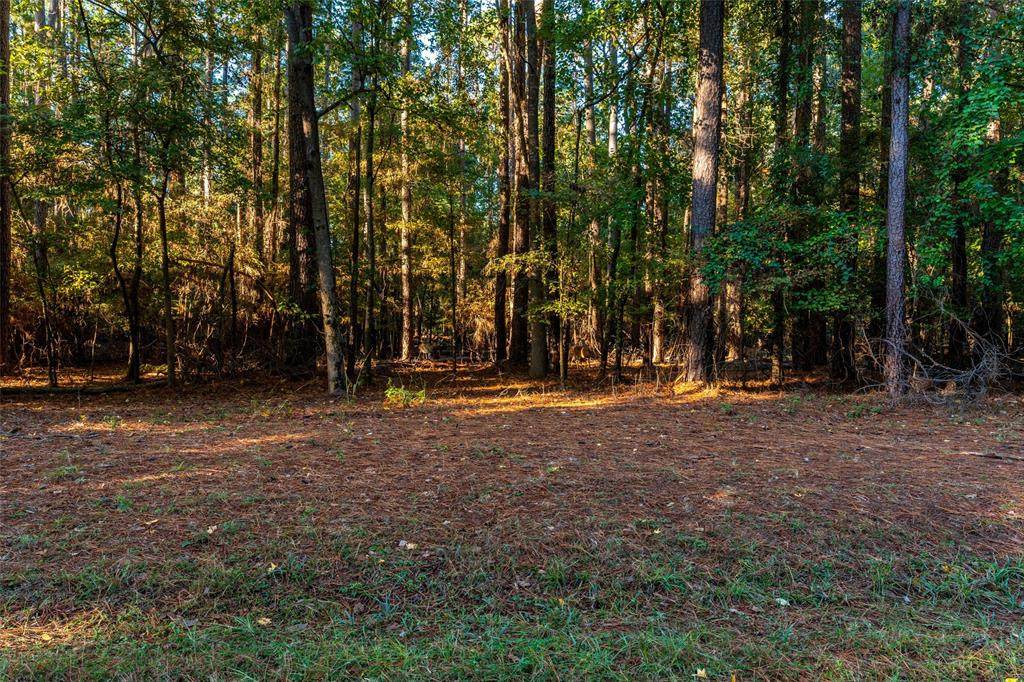 TBD Wildwood Trail - Photo 1