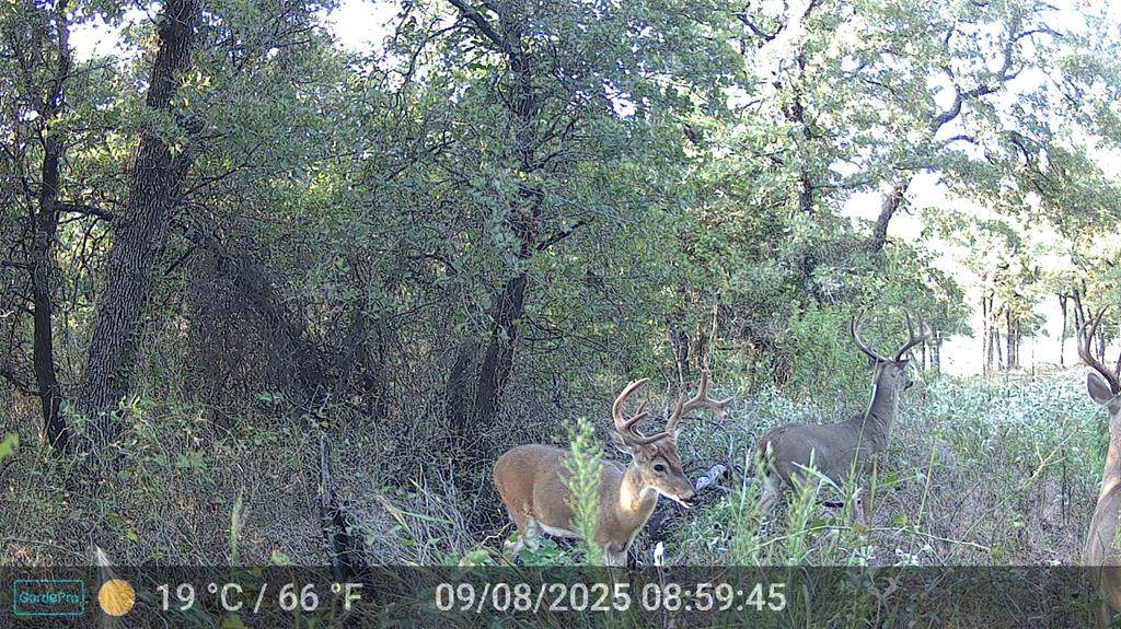 524 County Road 1792 - Photo 1