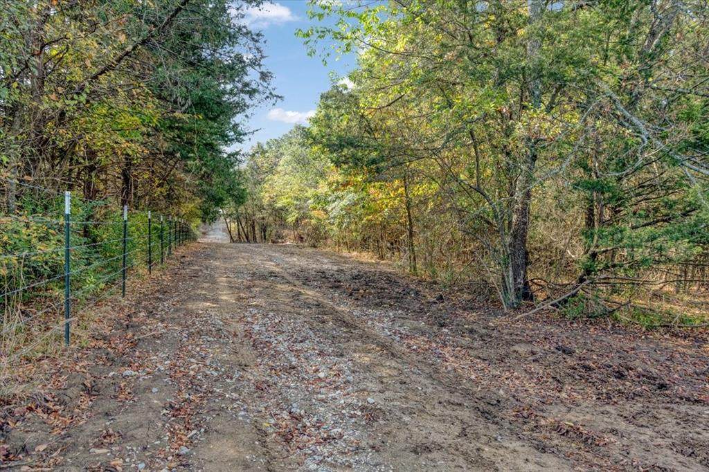 1602 Farm Road 1510 - Photo 1