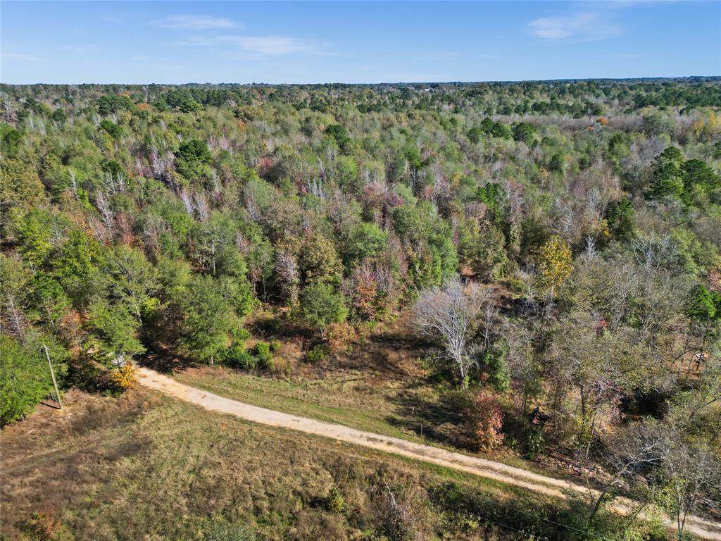 24175 Fm-838 - Photo 1