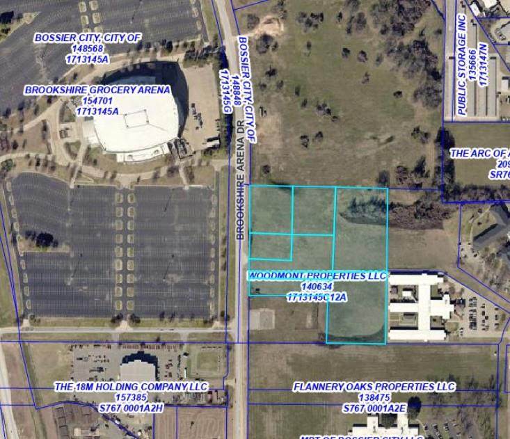 0 Brookshire Arena Drive - Photo 1