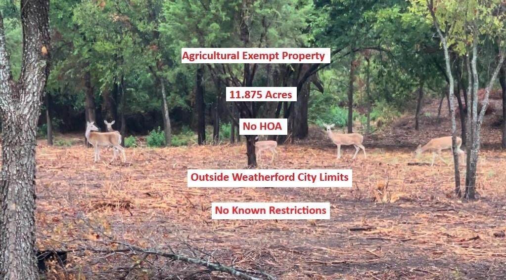 0000 Pioneer Crossing - Photo 1