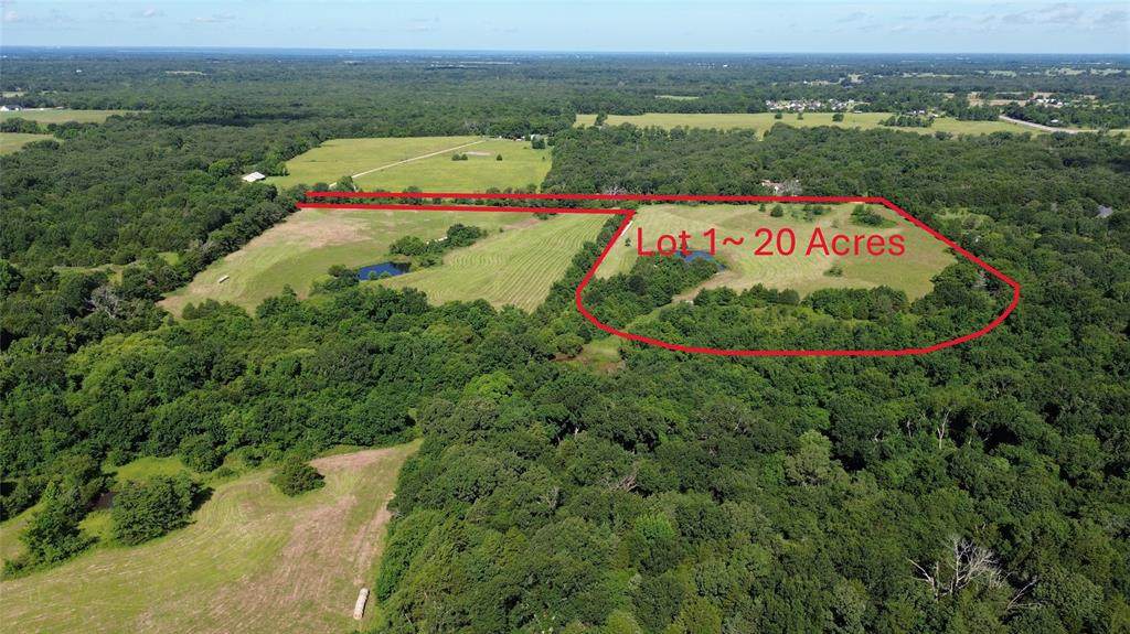 Lot 1 Rains Cr1140 Road - Photo 1