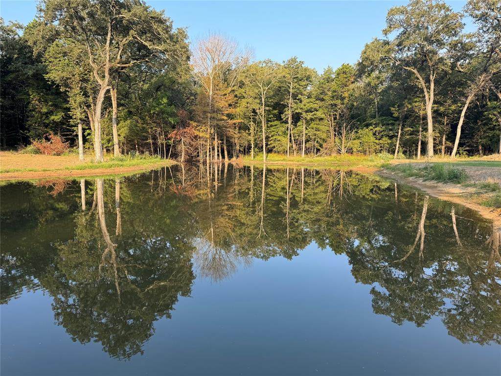 000 Cr 1138 - Photo 1