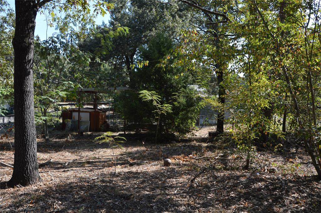 TBD Private Road 7704 Road - Photo 1